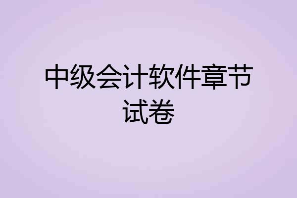 中级会计软件章节试卷