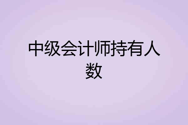 中级会计师持有人数