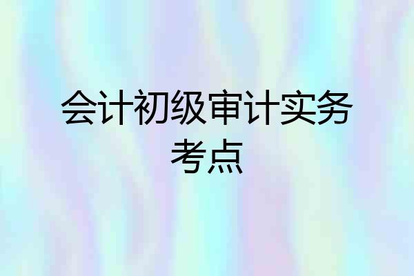 会计初级审计实务考点