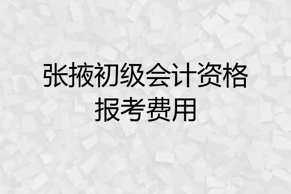 张掖初级会计资格报考费用