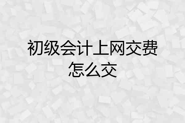 初级会计上网交费怎么交