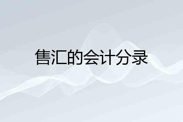 售汇的会计分录