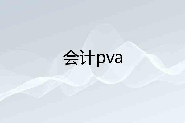 会计pva