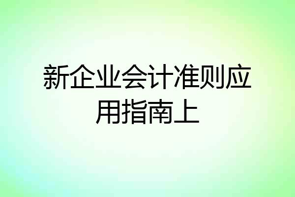 新企业会计准则应用指南上