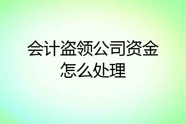 会计盗领公司资金怎么处理