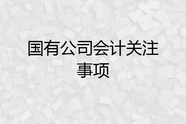 国有公司会计关注事项