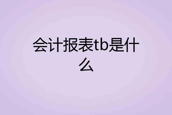 会计报表tb是什么