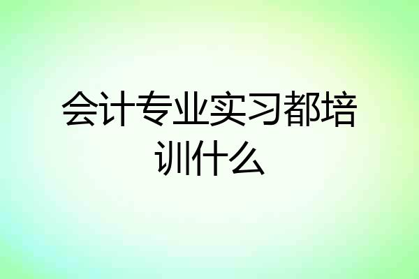 会计专业实习都培训什么