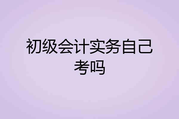 初级会计实务自己考吗