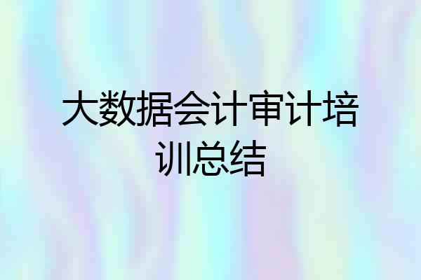 大数据会计审计培训总结