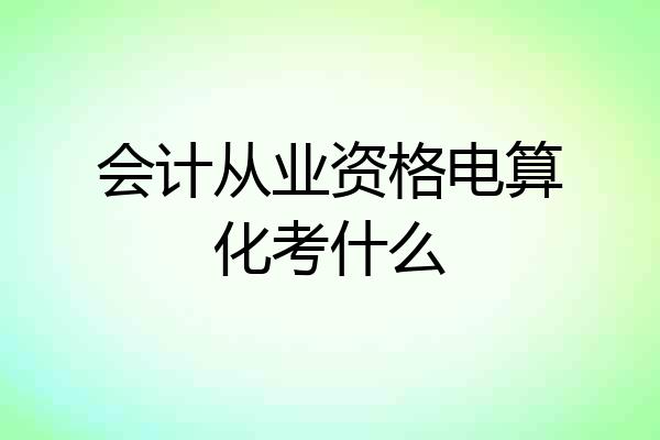 会计从业资格电算化考什么
