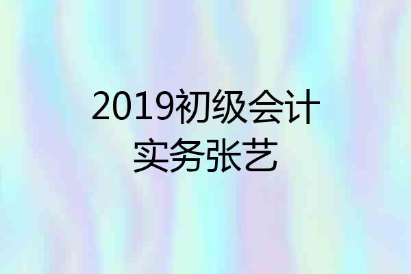 2019初级会计实务张艺