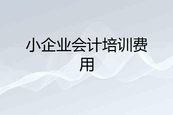 小企业会计培训费用
