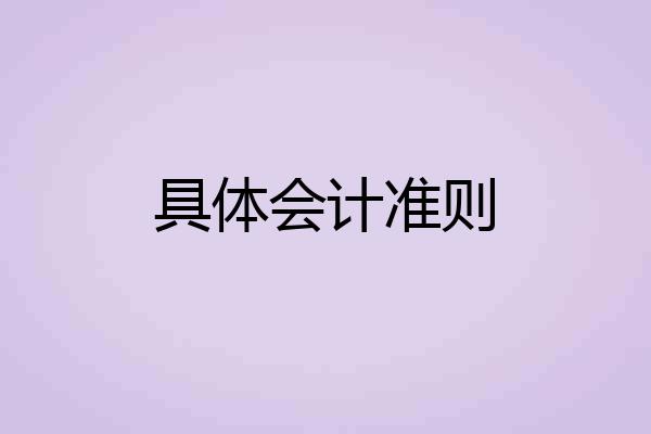 具体会计准则