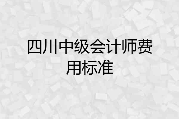 四川中级会计师费用标准