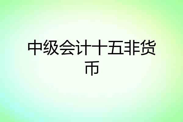 中级会计十五非货币