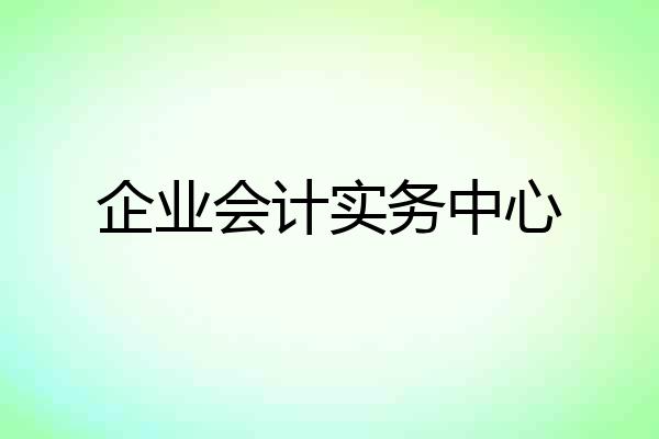 企业会计实务中心