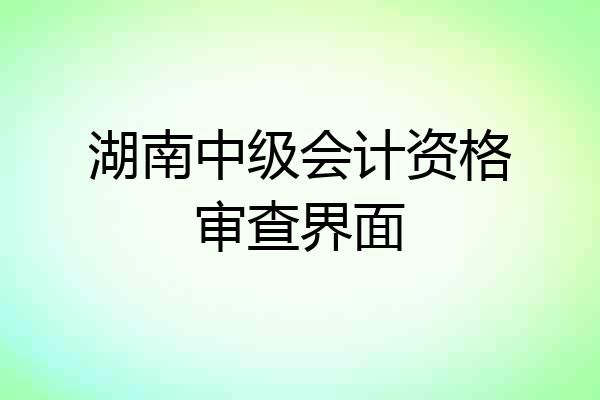 湖南中级会计资格审查界面