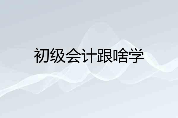 初级会计跟啥学