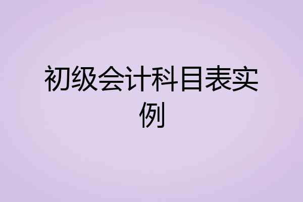 初级会计科目表实例