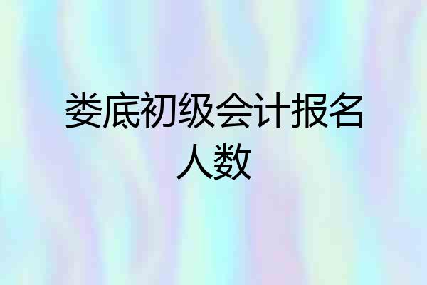 娄底初级会计报名人数