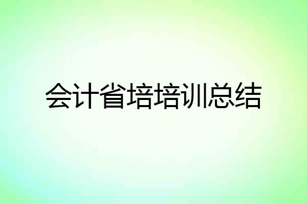 会计省培培训总结