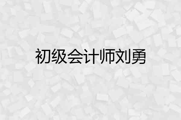 初级会计师刘勇