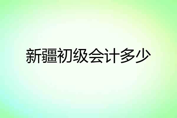 新疆初级会计多少