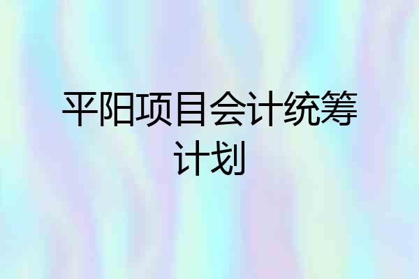 平阳项目会计统筹计划