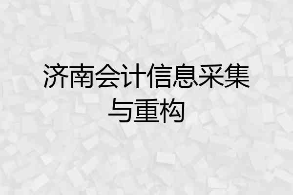 济南会计信息采集与重构