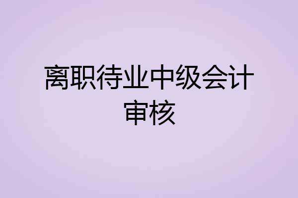 离职待业中级会计审核