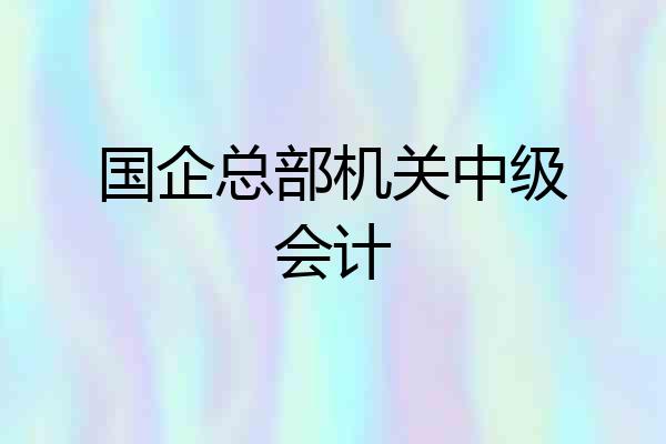 国企总部机关中级会计
