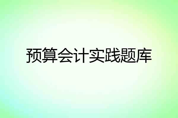 预算会计实践题库