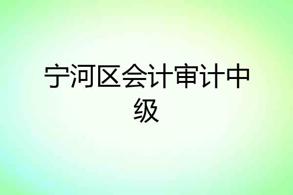 宁河区会计审计中级
