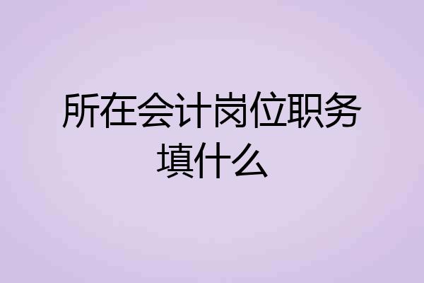 所在会计岗位职务填什么