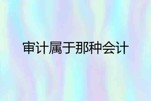审计属于那种会计