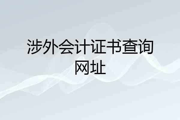 涉外会计证书查询网址