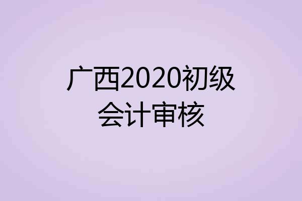 广西2020初级会计审核