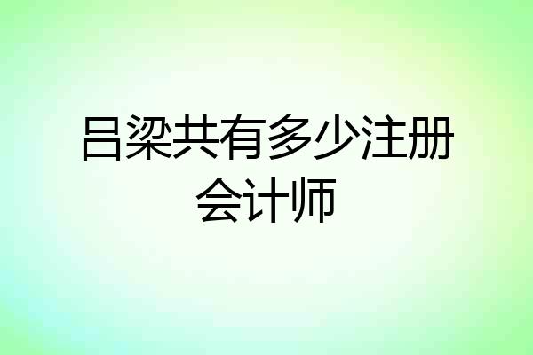 吕梁共有多少注册会计师