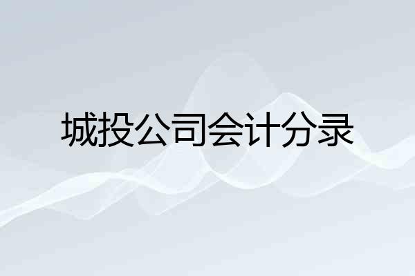 城投公司会计分录