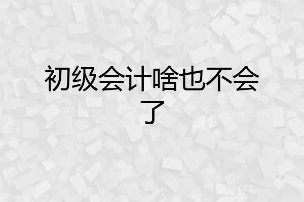 初级会计啥也不会了