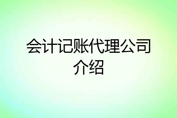 会计记账代理公司介绍
