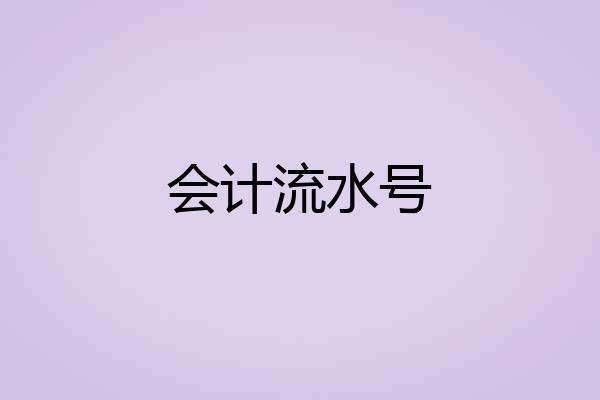 会计流水号