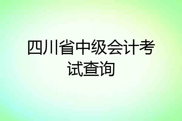 四川省中级会计考试查询