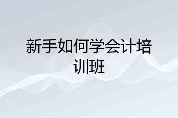新手如何学会计培训班