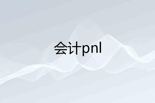 会计pnl