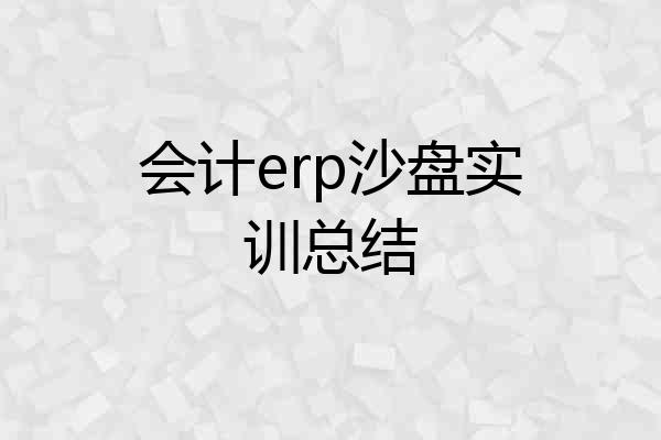 会计erp沙盘实训总结