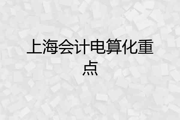 上海会计电算化重点