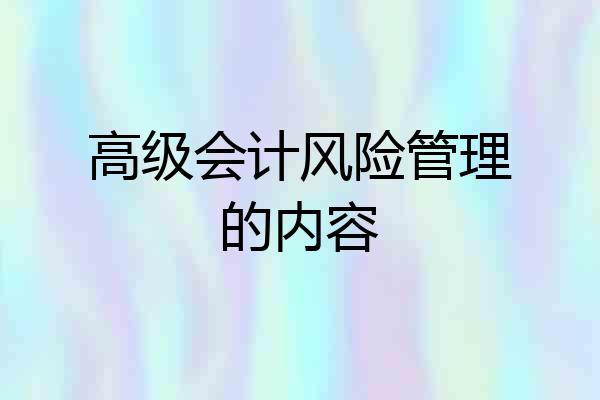 高级会计风险管理的内容