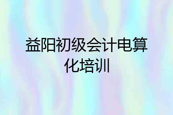 益阳初级会计电算化培训